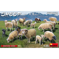 Mouton.