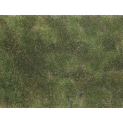 Arbuste d’herbes aromatiques, vert olive.