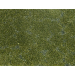 Buisson de mauvaises herbes, vert foncé.