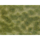 Groundcover Foliage, green/beige.