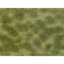 Cespuglio di erbe aromatiche, verde/beige.