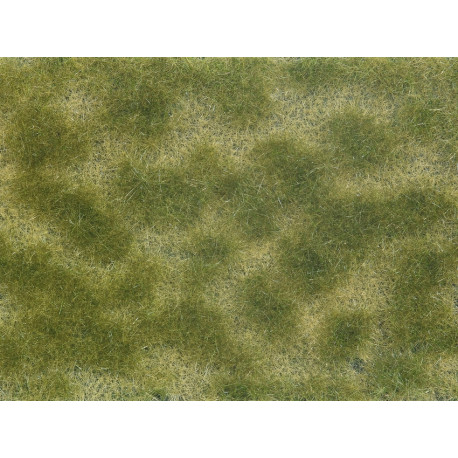 Groundcover Foliage, green/beige.