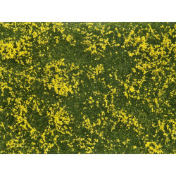 Groundcover Foliage, yellow.
