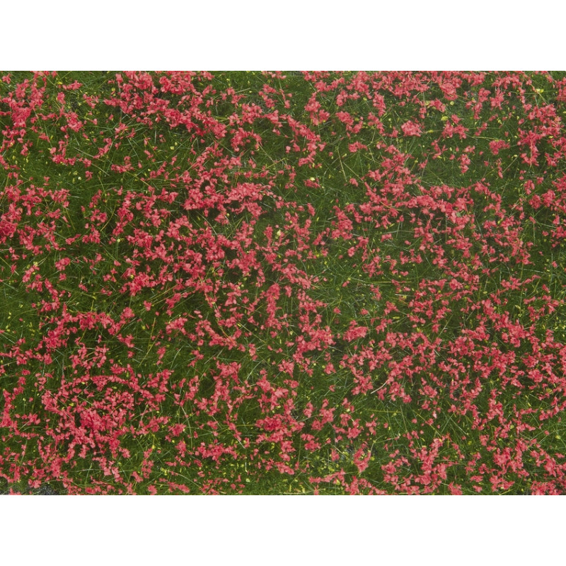 Mata de hierbas, prado rojo. Mata de hierbas, prado rojo.