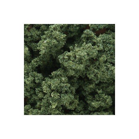 Medium green clump foliage. WOODLAND FC183