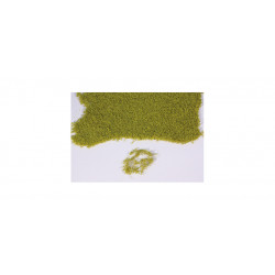 Feuilles réalistes, vert clair.