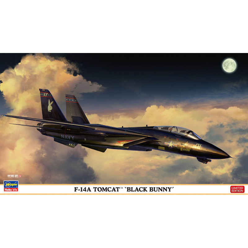 F-14A Tomcat “Black Bunny". F-14A Tomcat “Black Bunny".