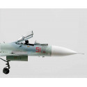 Su-27SM.