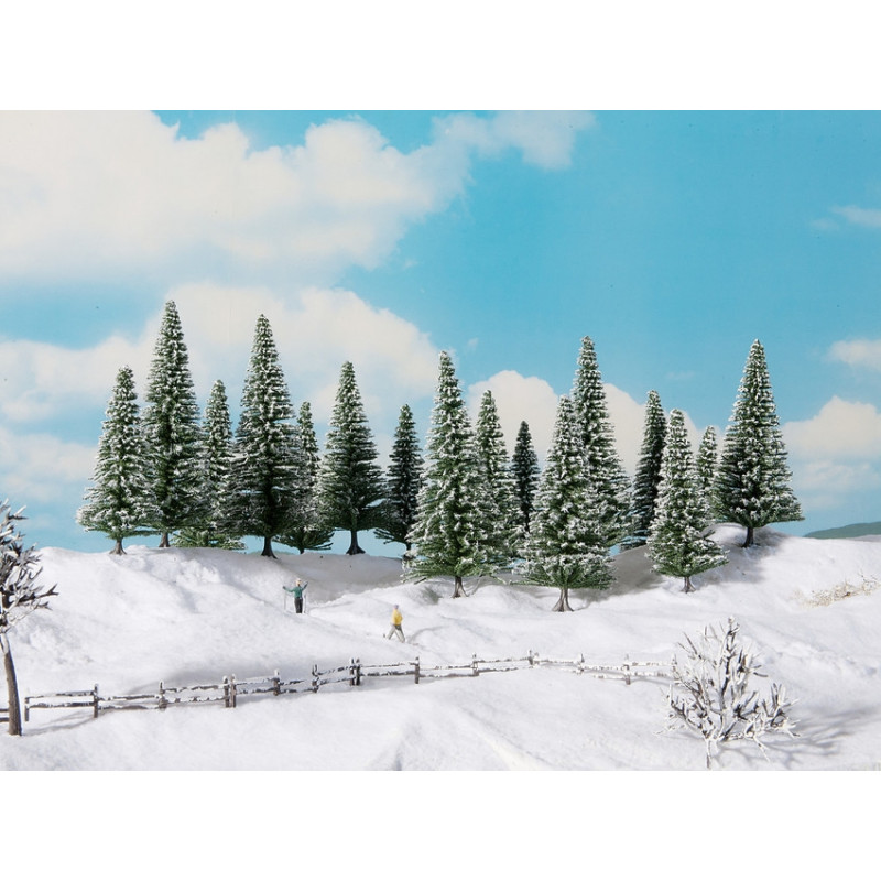 Snow fir trees. Snow fir trees.