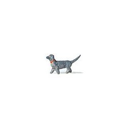 Dachshund.