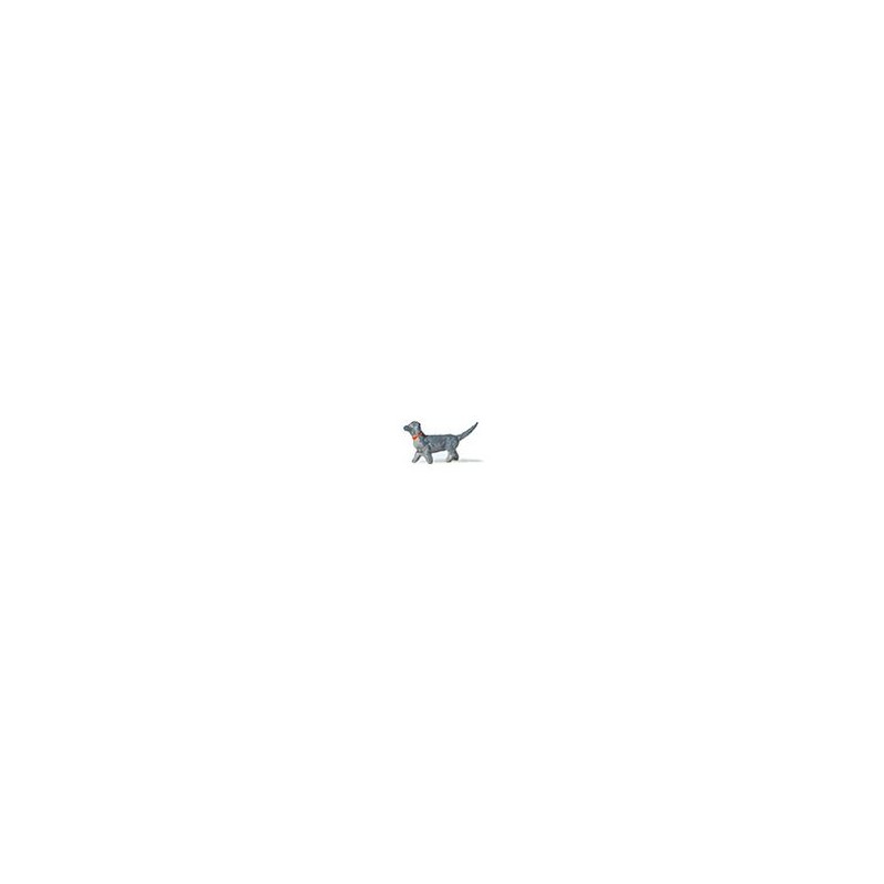 Perro salchicha. Perro salchicha.