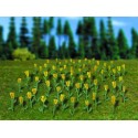 *Tulipanes. VOLLMER 5122