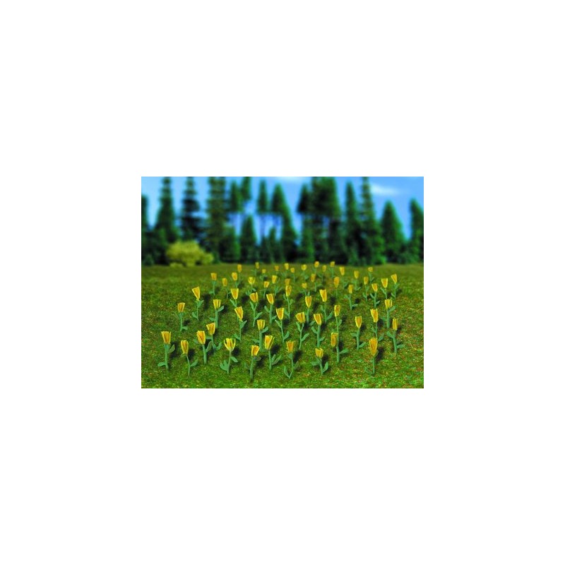 *Tulipanes. VOLLMER 5122