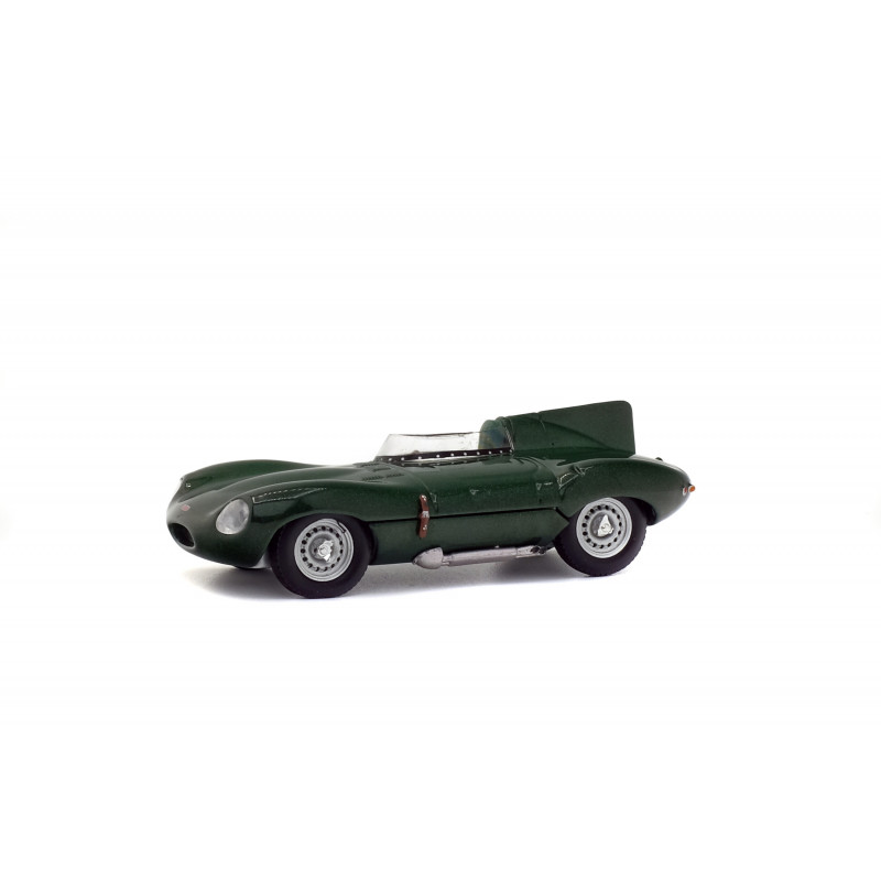 Jaguar D. Jaguar D.