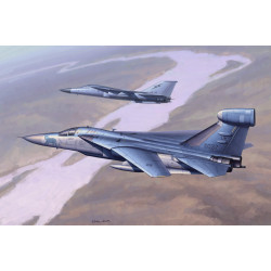 EF-111 Corbeau.