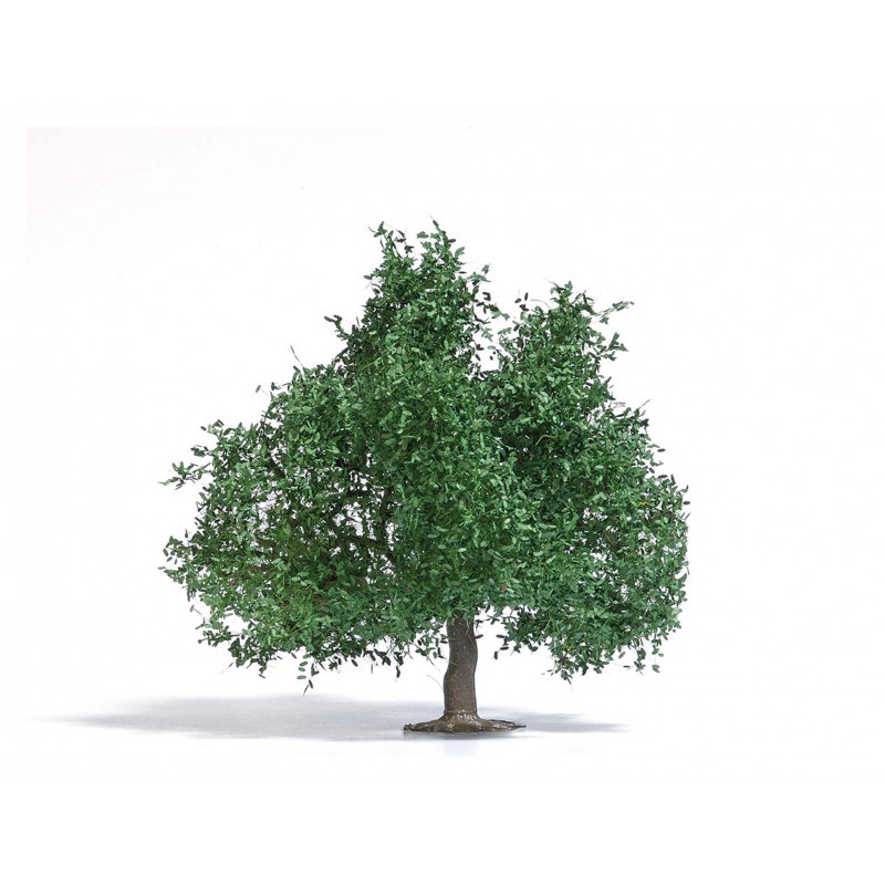 Oak, 95 mm. Oak, 95 mm.