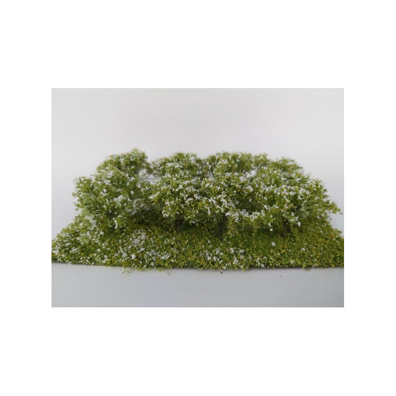 Arbustos, flores blancas.