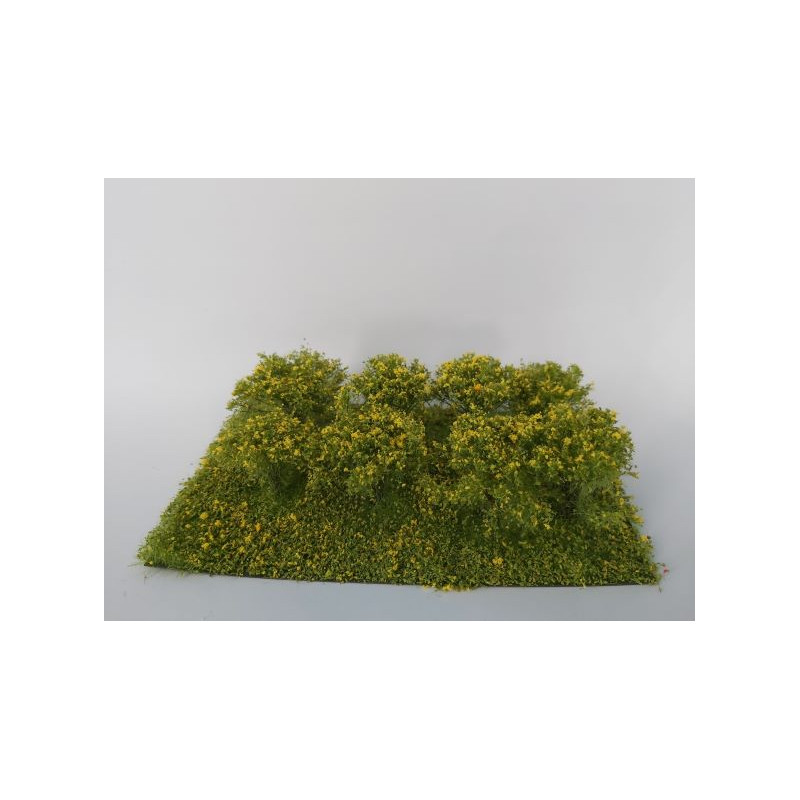 Arbustos, flores amarillas.