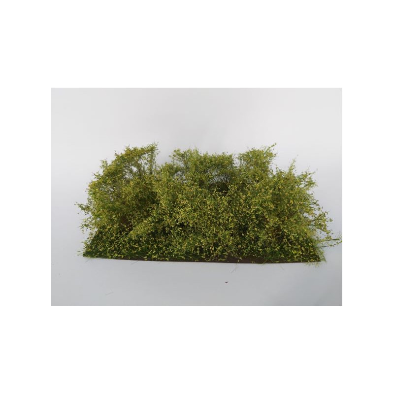 Bushes, spring.