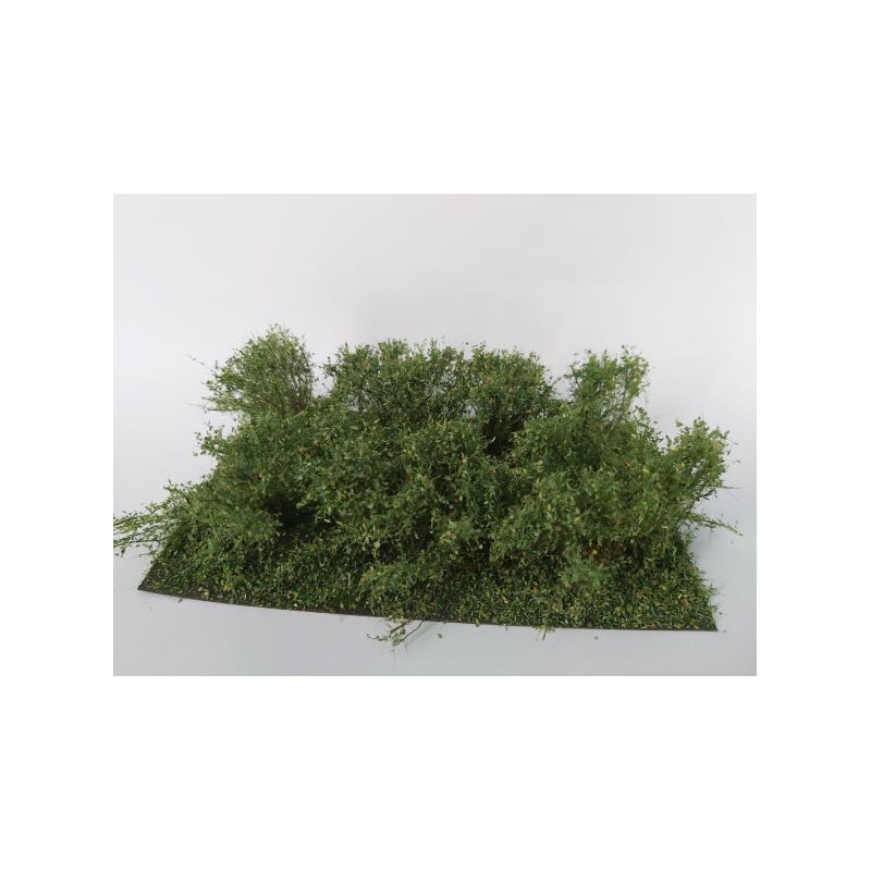 Arbustos, principios de otoño.