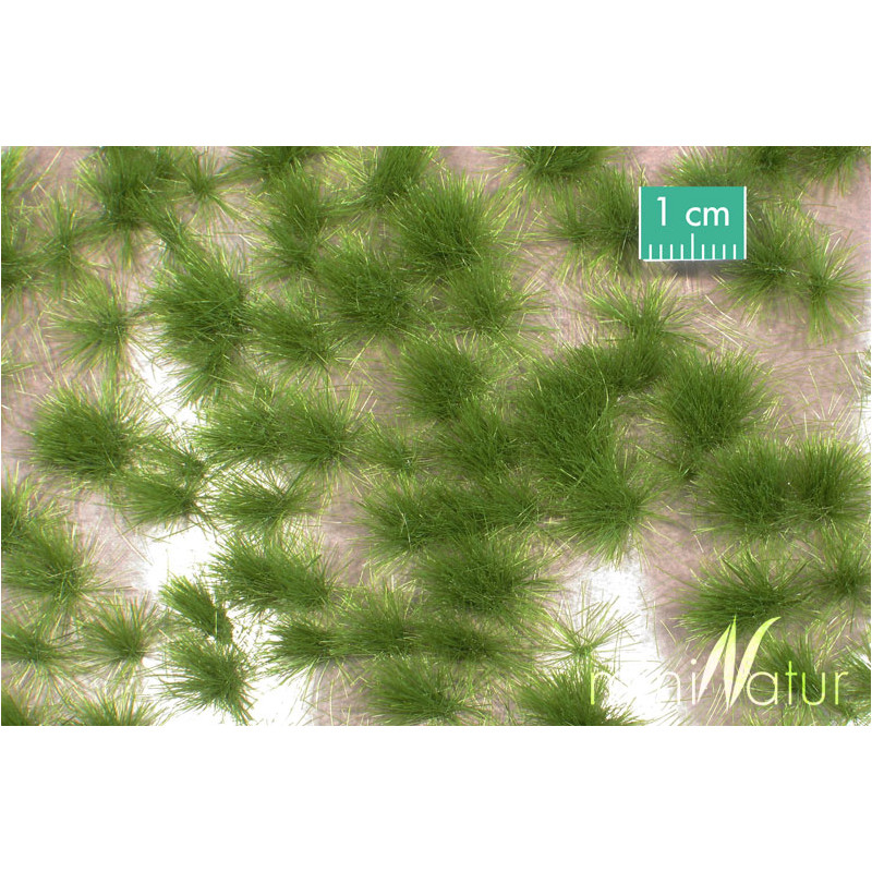 Mechones de césped, verano.