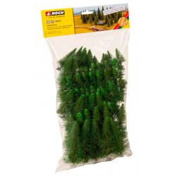 Model spruce trees.