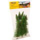 Model spruce trees.