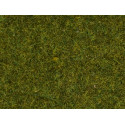 Wild Grass XL, medium green.