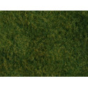 Flocado hierba salvaje, verde claro.
