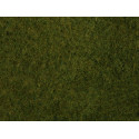Flocado hierba salvaje, verde oliva.