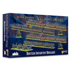 Britische Infanteriebrigade. Black Powder Epic Battles: Waterloo.