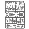Citadel Skulls.