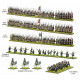 Black Powder Epic Battles: Waterloo-French Infantry Brigade.