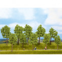 Standard deciduos trees.