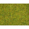 Fibras de hierba, 2,5 mm | Caja dañada.