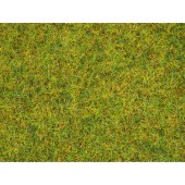 Fibras de hierba, 2,5 mm | Caja dañada.