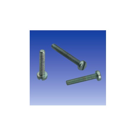 Threaded screws M2,5 - 10 mm (x100)