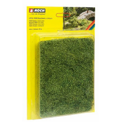 PROFI bushes, medium green.