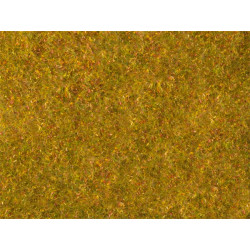 Prairie floquée, jaune-vert.