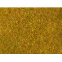 Meadow foliage, yellow-green.