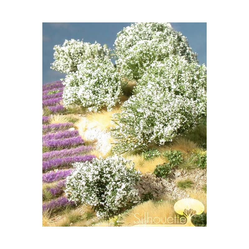 Planta arbustiva en tonos blancos. SILHOUETTE 253-01