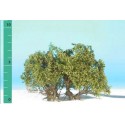 Plantas arbustivas. SILHOUETTE 250-02