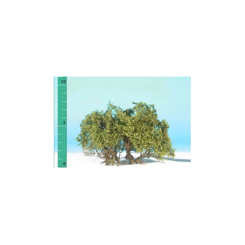 Plantas arbustivas. SILHOUETTE 250-02