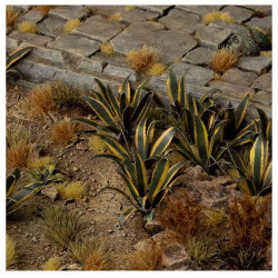 Impianti laser. Agave.