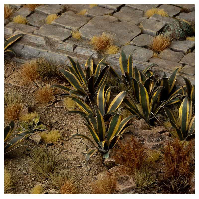 Laser plants. Agave. Laser plants. Agave.
