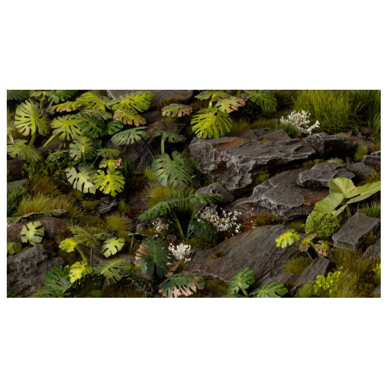 Laser plants. Monstera.