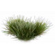 Grass tufts. Strong green (6 mm).