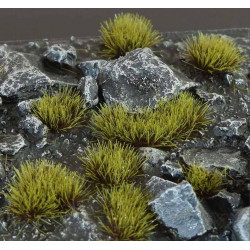 Grass tufts. Swamp (4mm).