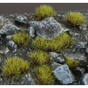 Grass tufts. Swamp (4mm).