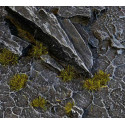 Grass tufts. Tiny Dark Moss (2mm).